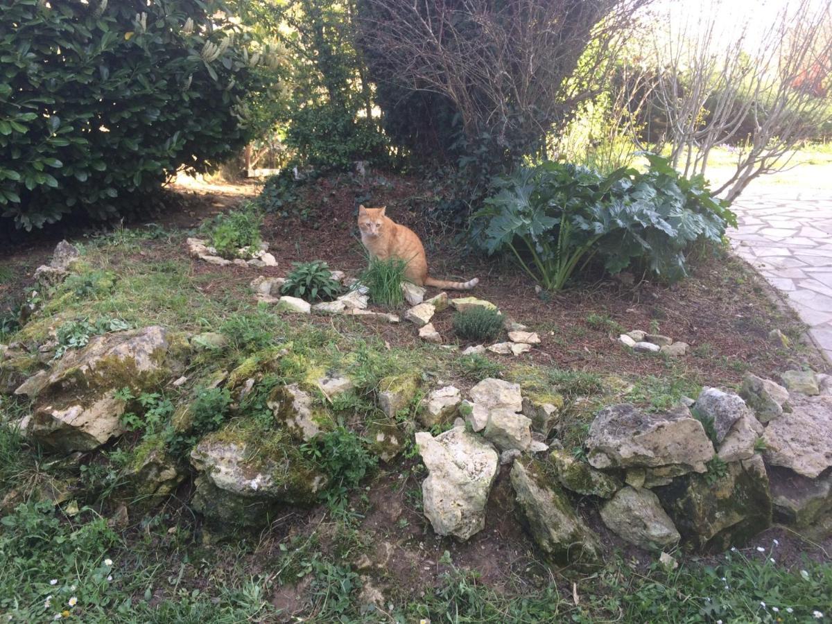 La Tuilerie Villa Vic-Fezensac Luaran gambar
